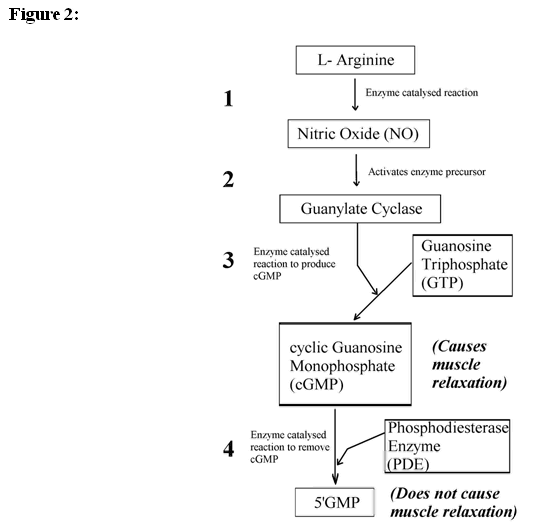 Figure  2