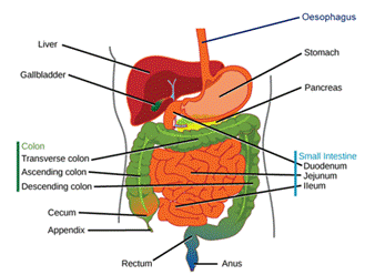 Diagram

Description automatically generated