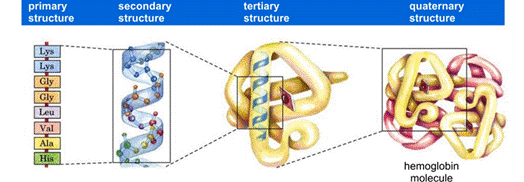 A diagram of a structure

Description automatically generated