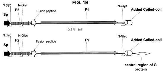 A diagram of different types of molecules

Description automatically generated with medium confidence