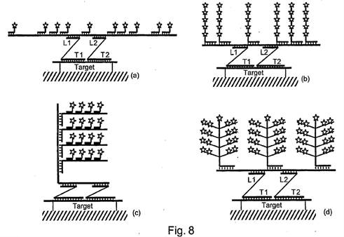 A diagram of a tree

Description automatically generated