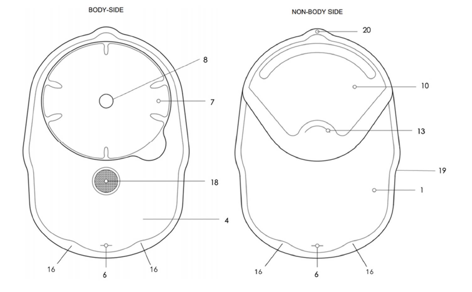 A diagram of a body

Description automatically generated