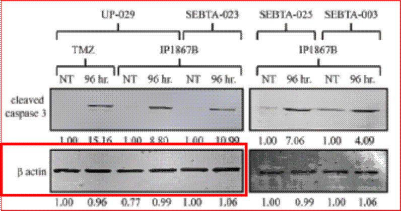 A close-up of a test results

Description automatically generated